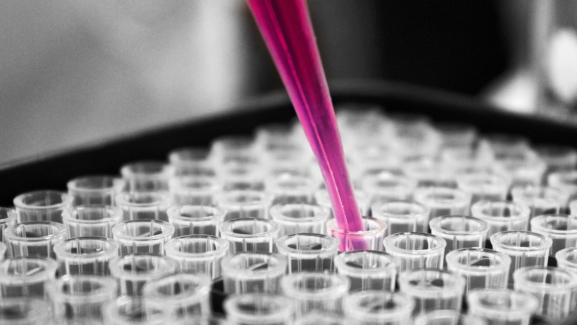 Laboratory Image 3